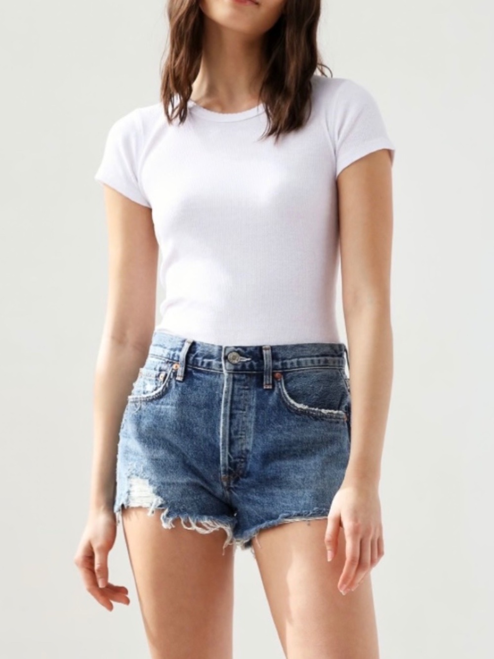 Agolde Parker Shorts Rock Steady 25 NWT